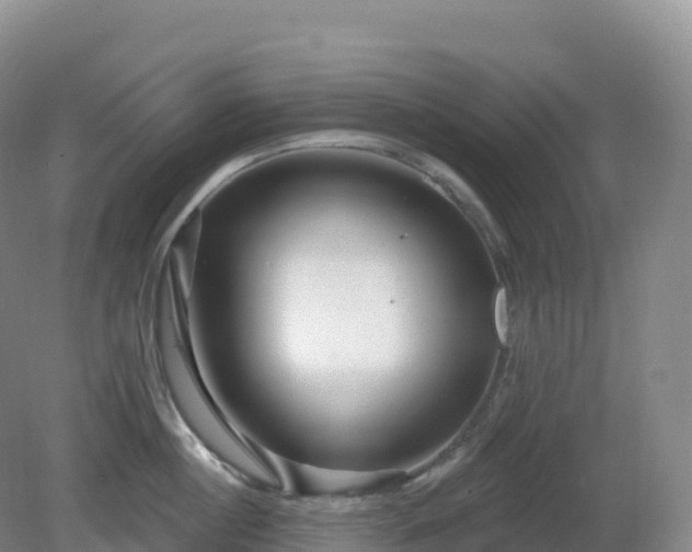 X0000081340860200701182019