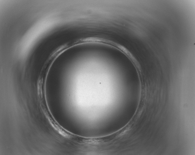X0000081340862200701182019