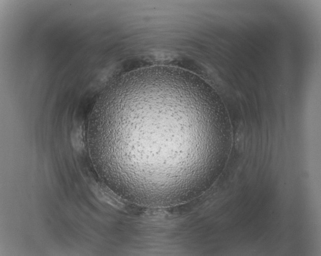 X0000081340866200701182018