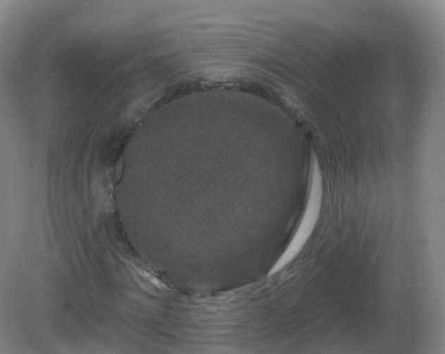 X0000081340868200701182018