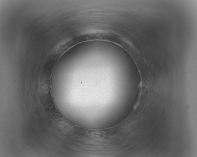 X0000081340869200701182018