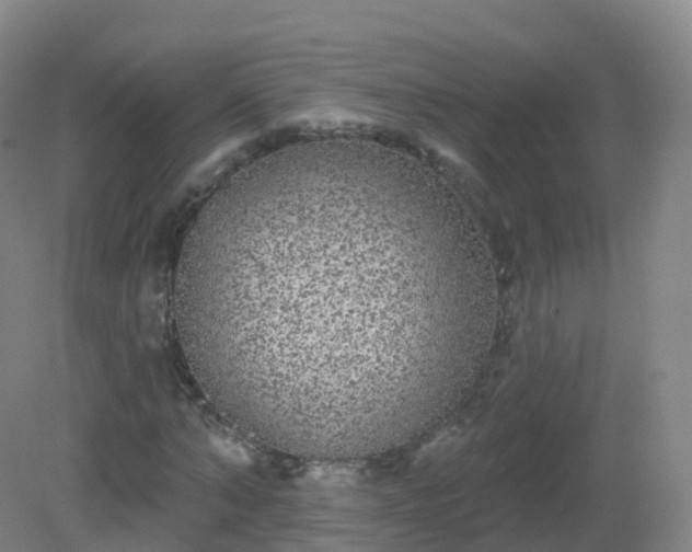 X0000081340870200701182018