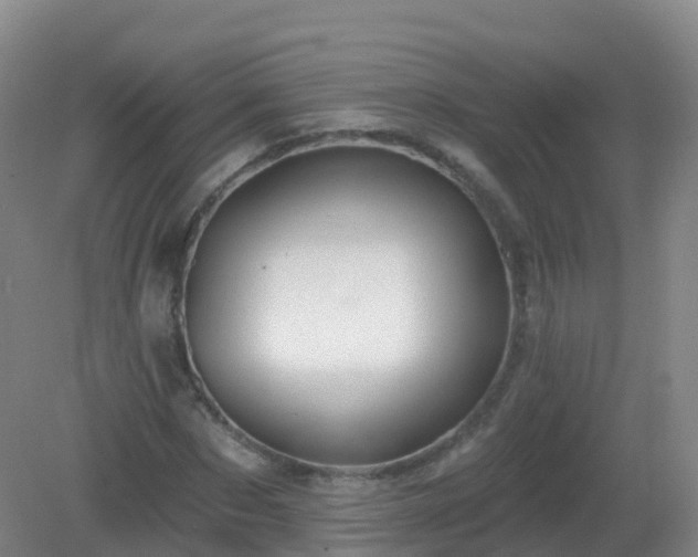 X0000081340873200701182018