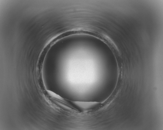 X0000081340876200701182018