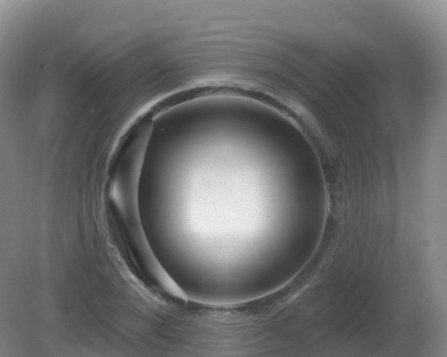 X0000081340880200701182018