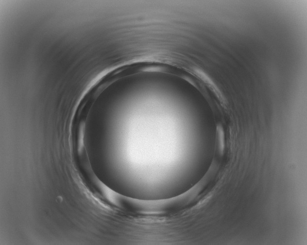 X0000081340884200701182018