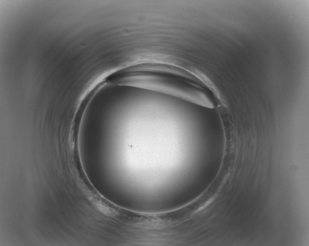 X0000081340885200701182018
