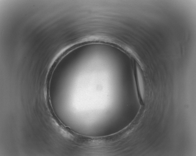 X0000081340888200701182018