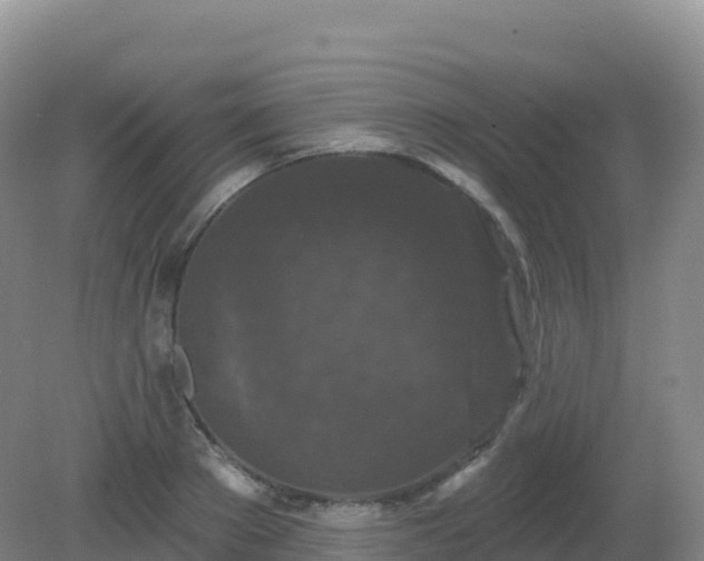 X0000081340889200701182018
