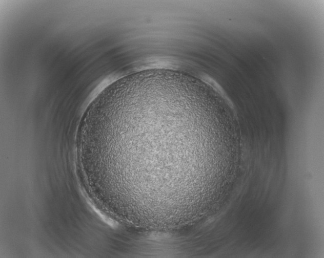 X0000081340890200701182018