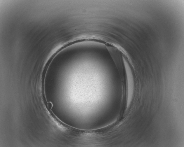 X0000081340894200701182017