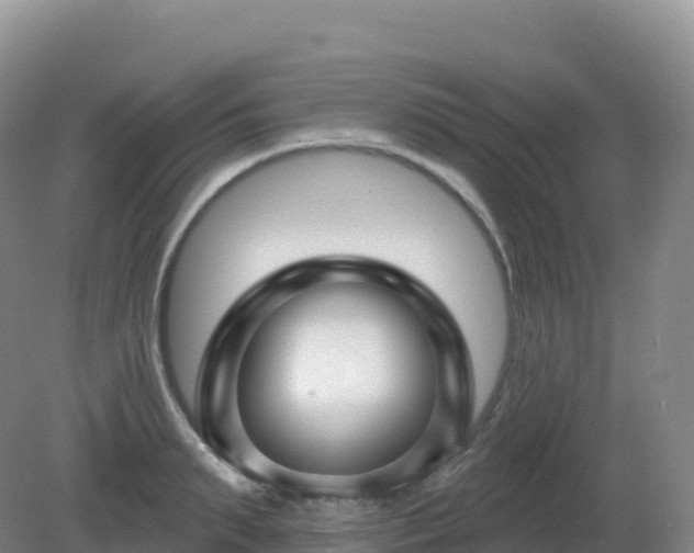 X0000081340895200701182017