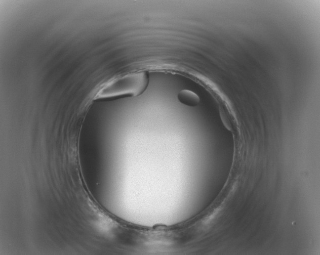 X0000081340897200701182017
