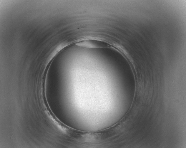 X0000081340898200701182017