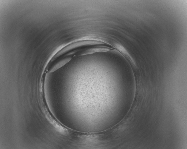 X0000081340900200701182017