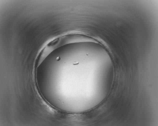 X0000081340902200701182017