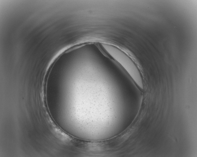 X0000081340904200701182017