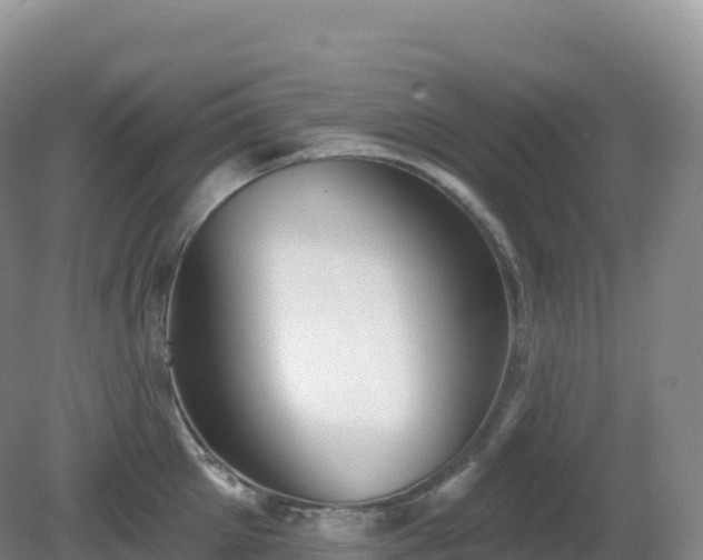 X0000081340905200701182017