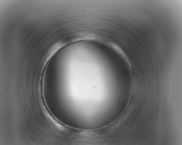 X0000081340906200701182017