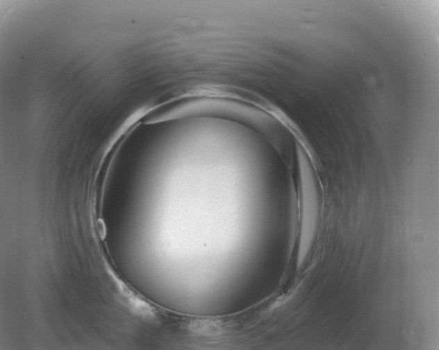 X0000081340909200701182017