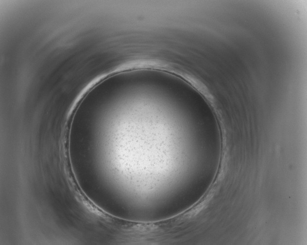 X0000081340912200701182017