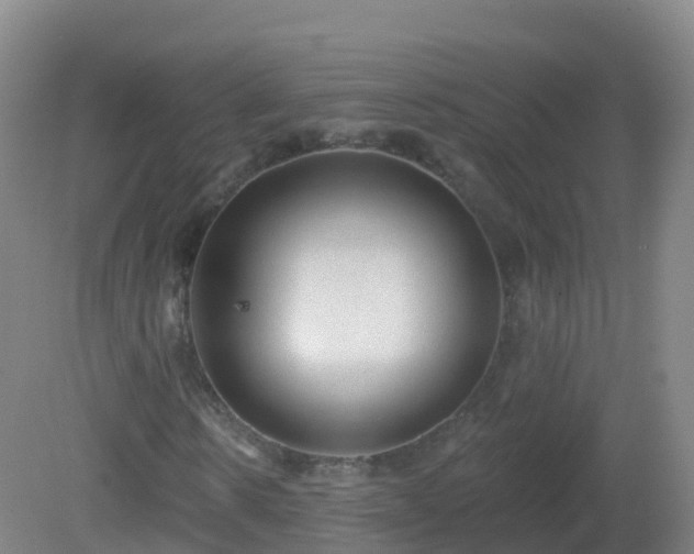 X0000081340914200701182016