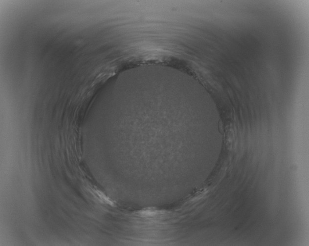 X0000081340916200701182016