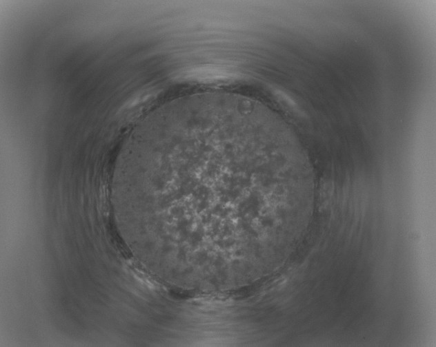 X0000081340917200701182016