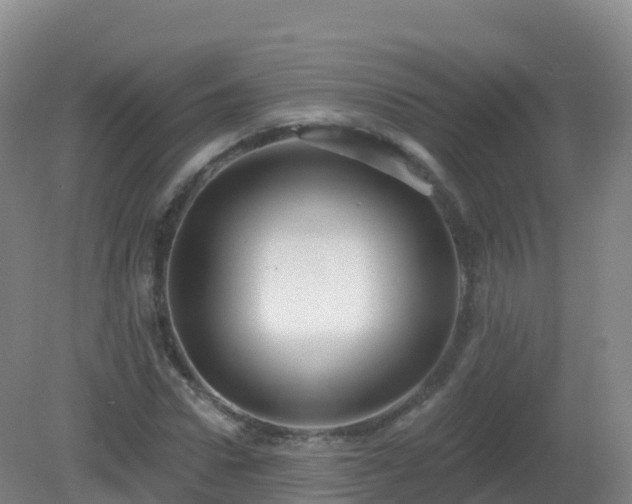 X0000081340922200701182016