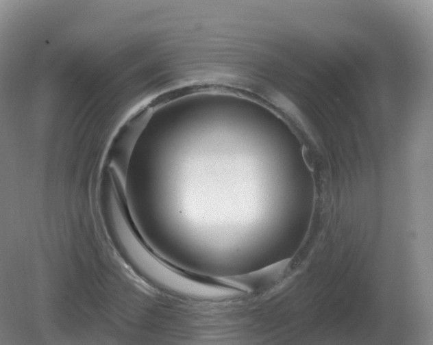 X0000081340924200701182016