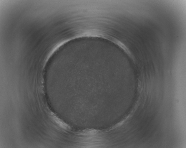 X0000081340926200701182017