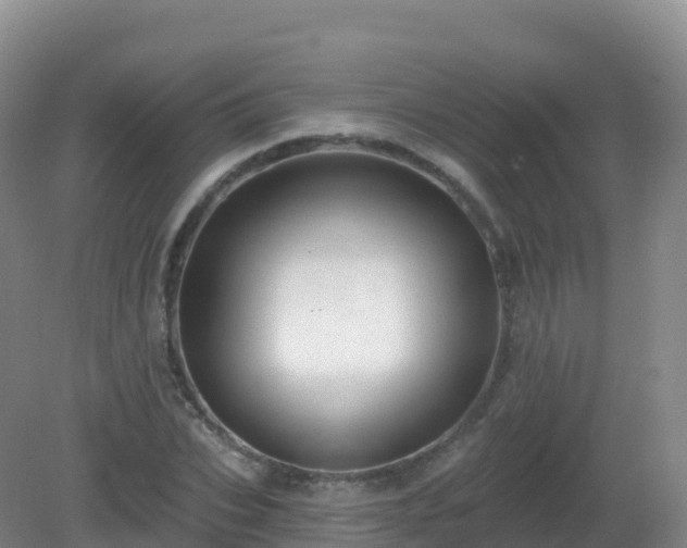X0000081340927200701182017