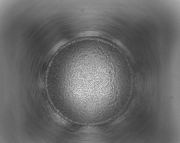 X0000081340929200701182017