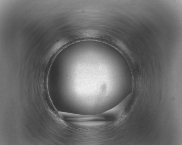 X0000081340930200701182017