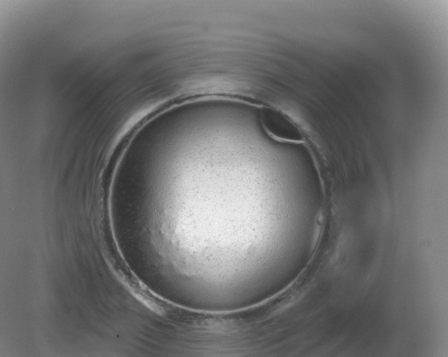 X0000081340933200701182017