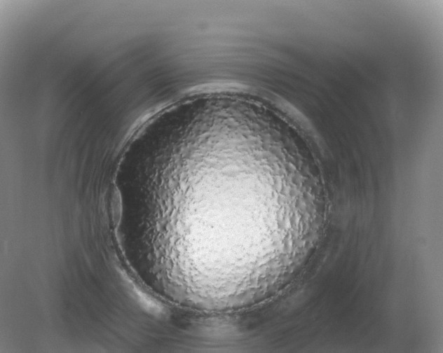 X0000081340937200701182017