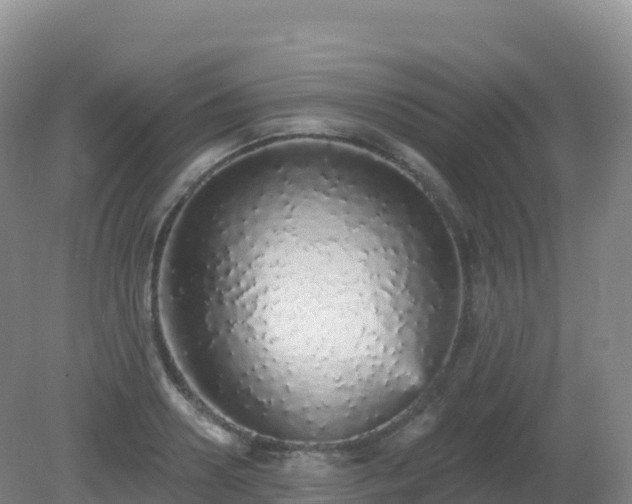 X0000081340938200701182017