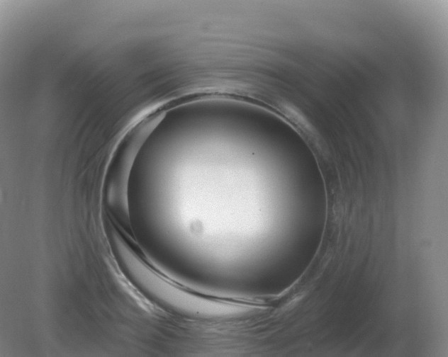 X0000081340940200701182017