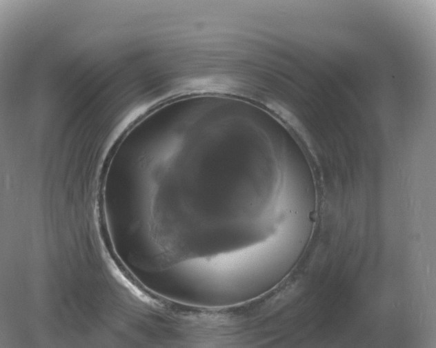 X0000081340941200701182017