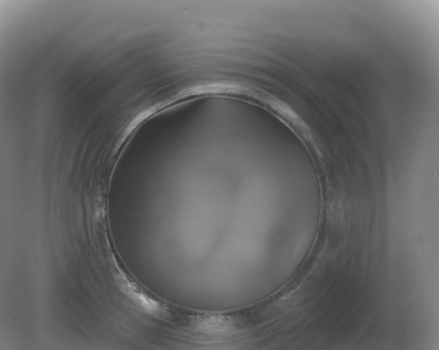 X0000081340945200701182017