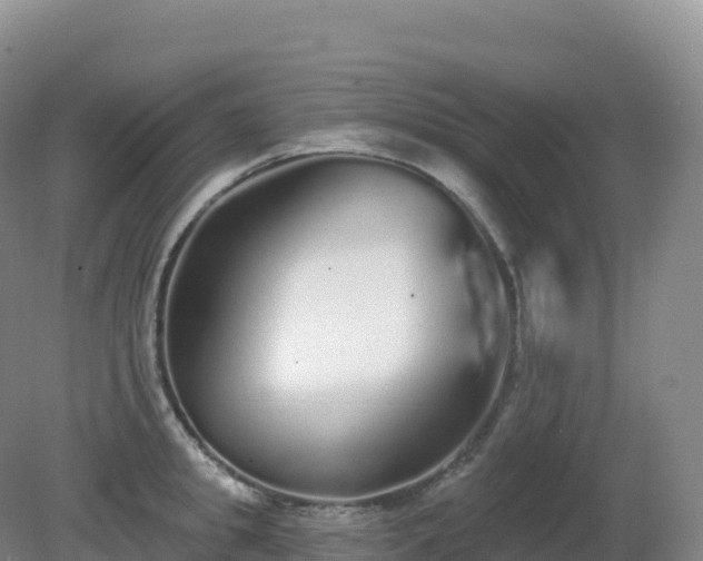 X0000081340949200701182017
