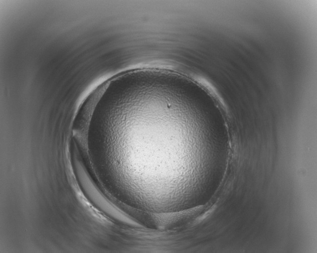 X0000081340952200701182017