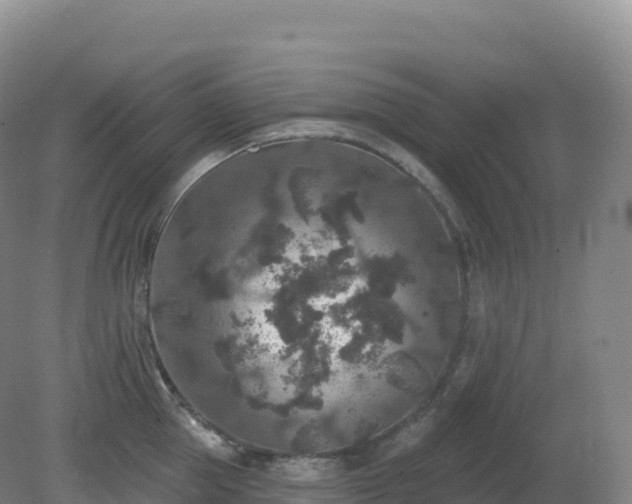 X0000081340953200701182017