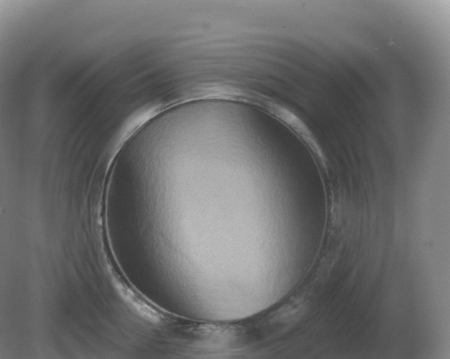 X0000081340954200701182017