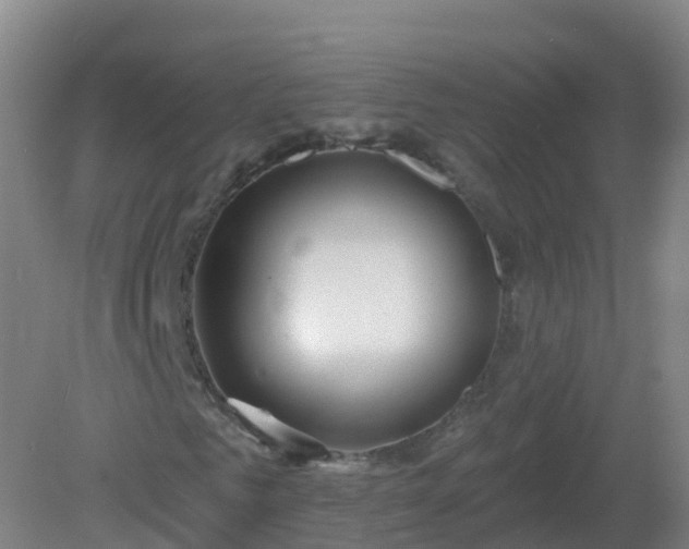 X0000081340961200701182016