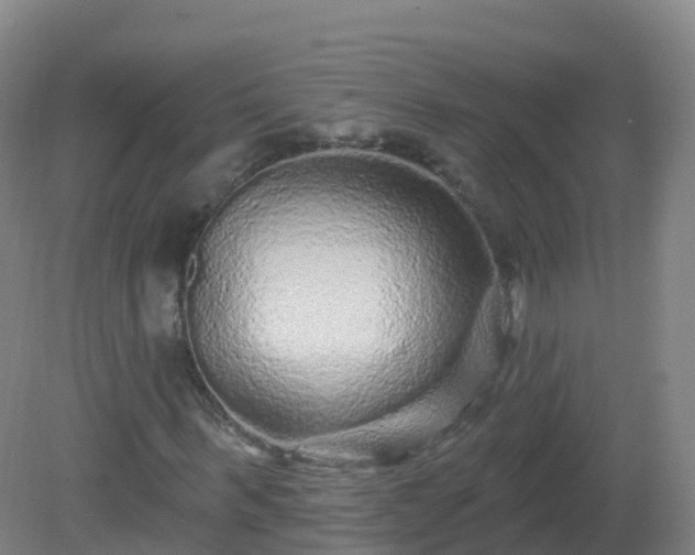 X0000081340963200701182016