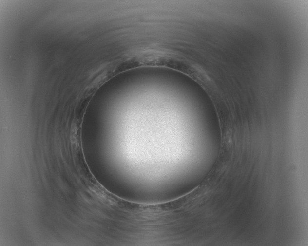 X0000081340964200701182016