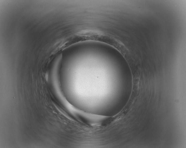 X0000081340965200701182016