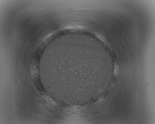 X0000081340966200701182016