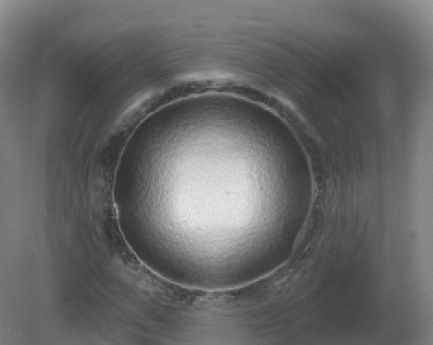 X0000081340967200701182016